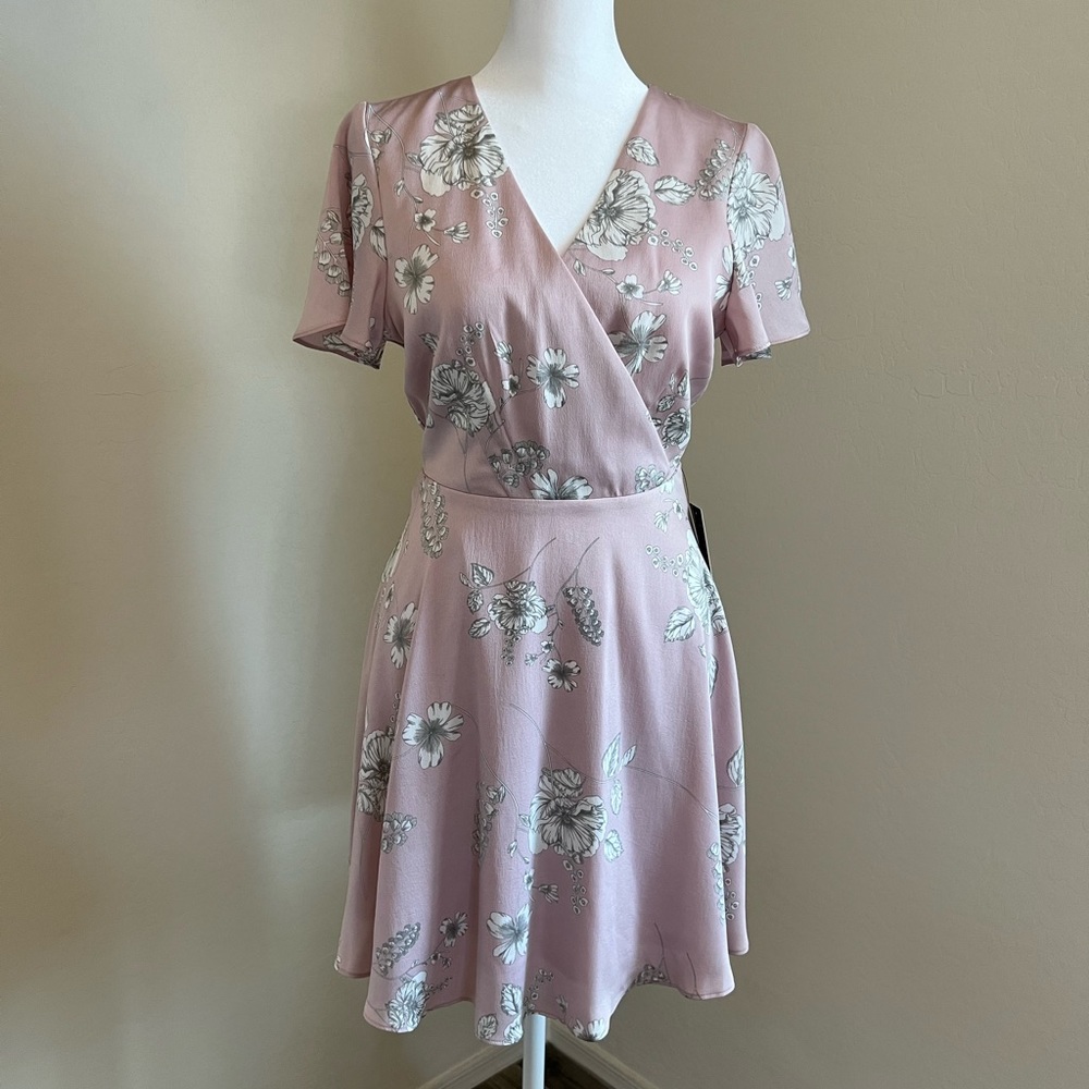 Express Light Pink Dress